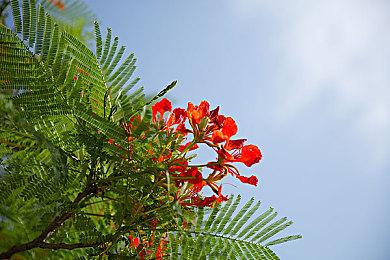 steam喜加一！免费领取“特别好评”游戏《Castle Break》